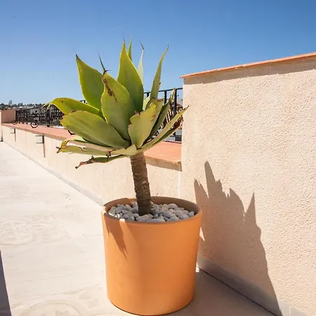 Atalaya Benalup - Casas Viejas